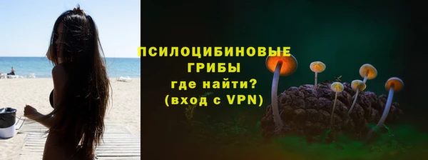 стаф Нягань