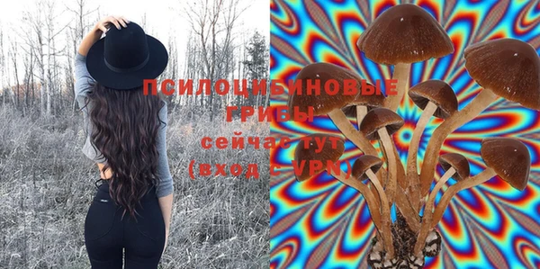 прущая мука Вуктыл